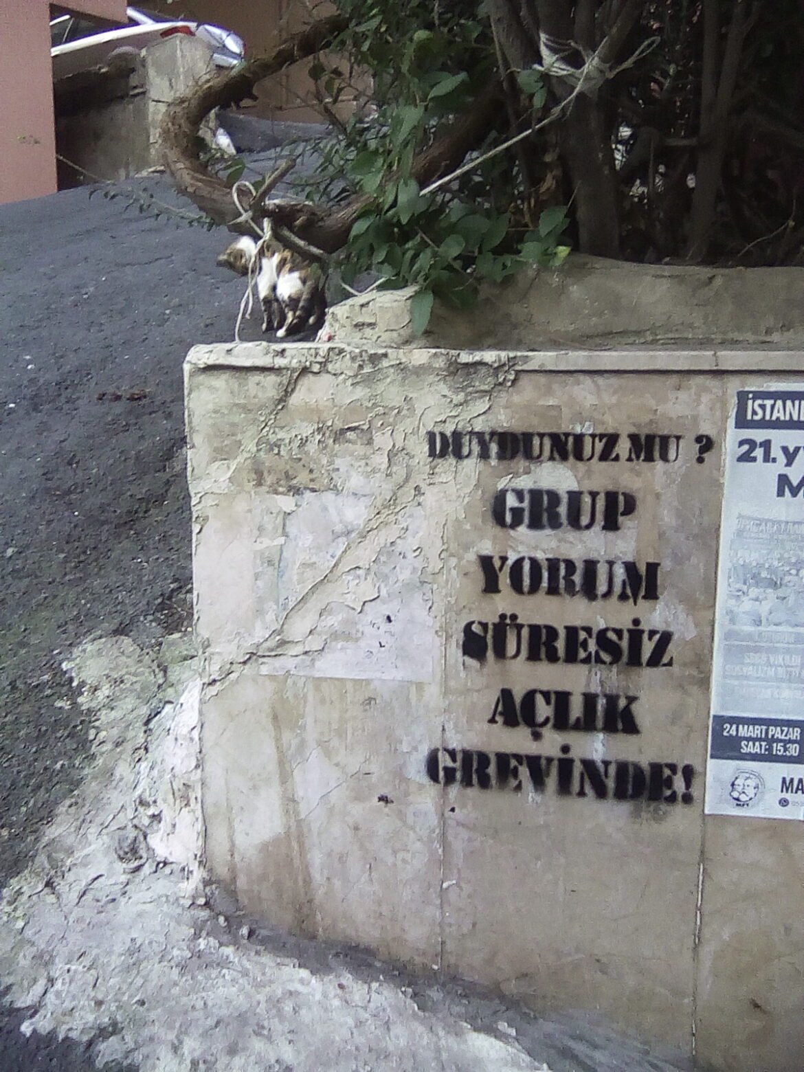 Dev-Genç’liler Sarıyer’de Karalanan Yazılamaların Yerine Yenilerini Yaptılar - Image 1