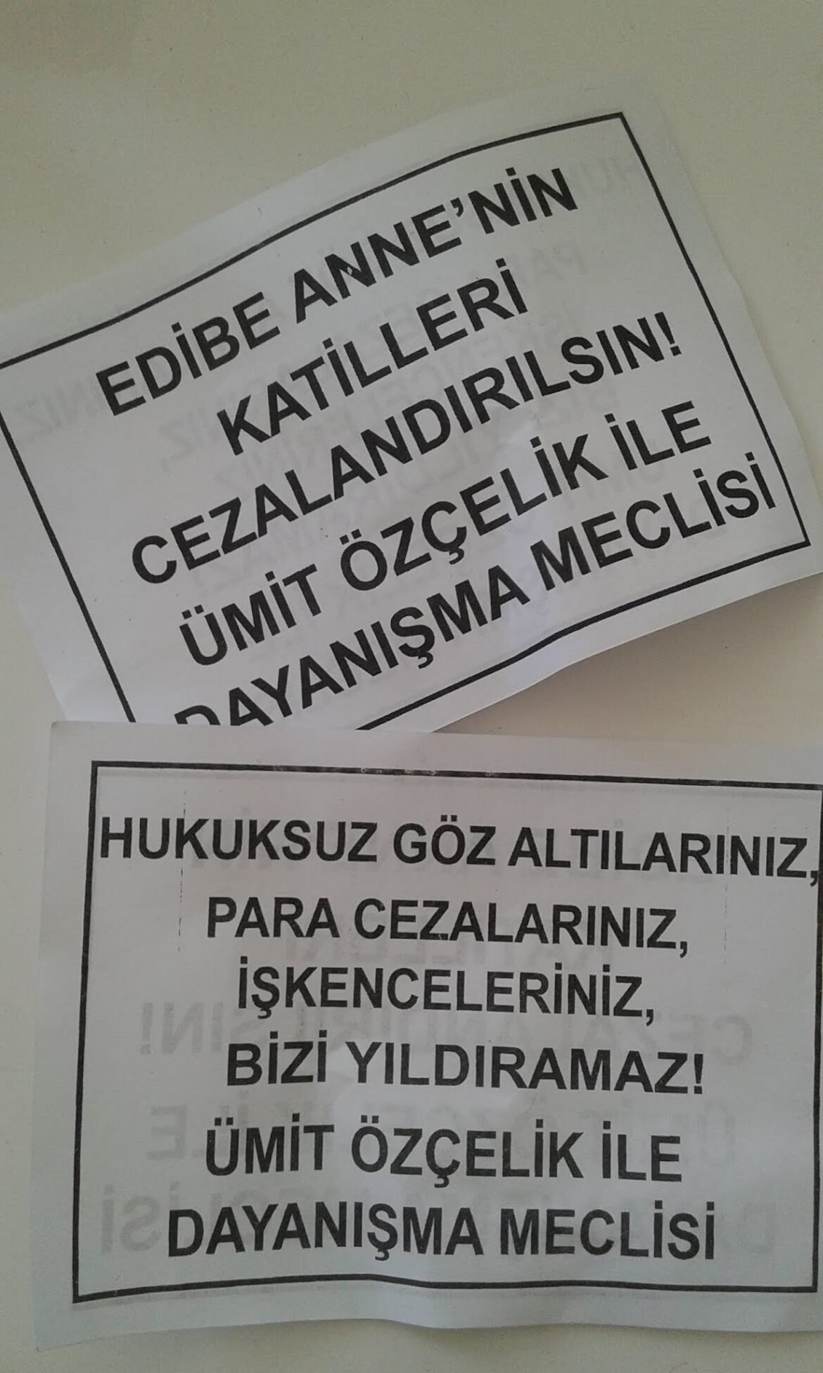 Ümit Özçelik İle Dayanışma Meclisi Edibe Anne Direnişi İçin Kuşlama Yaptı - Image 1