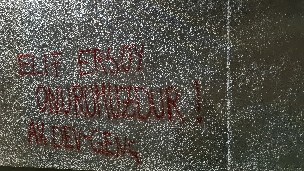Avrupa Dev-Gençliler Elif Ersoy İçin Yazılama Yaptı - Image 1