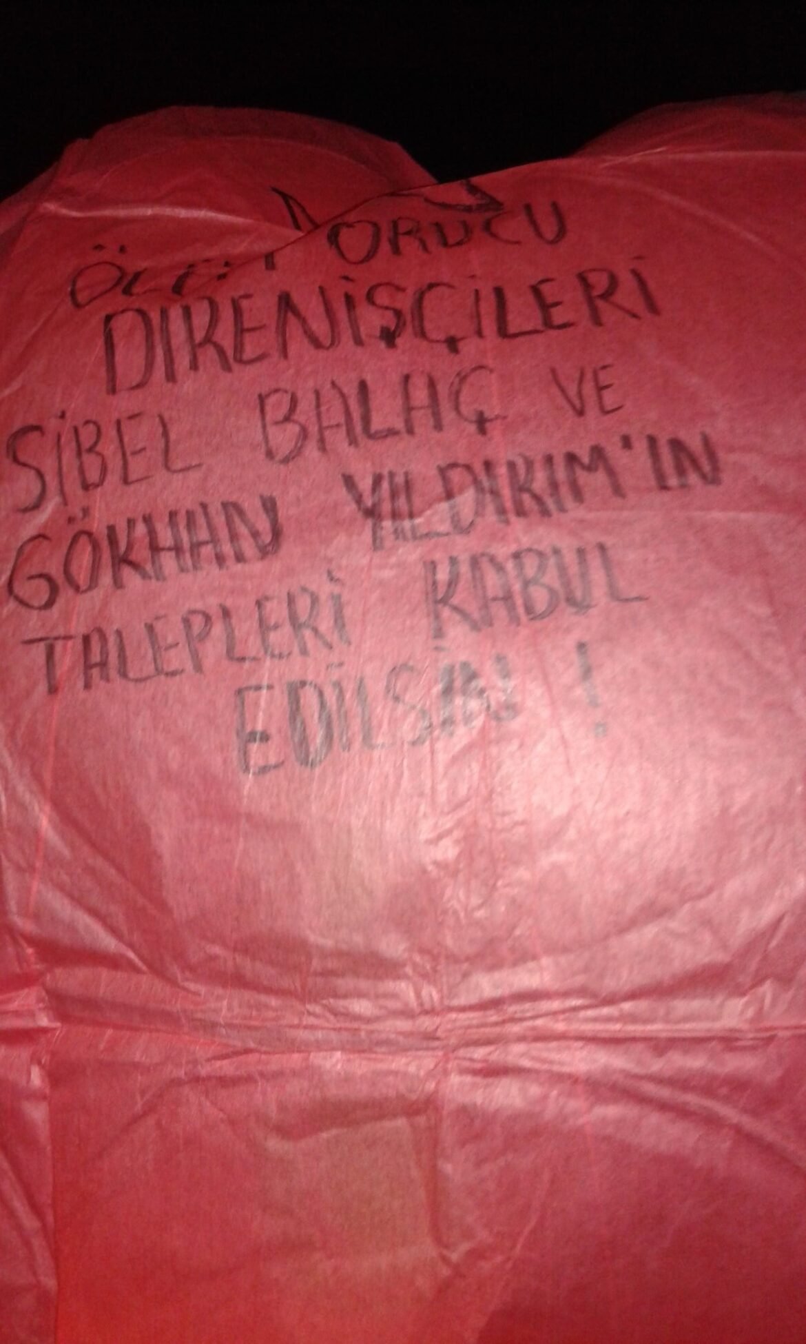 Bir Mayıs Halk Cephesi: 27 Mart’ta Sibel Balaç ve Gökhan Yıldırım İçin Açlık Grevindeyiz - Image 1