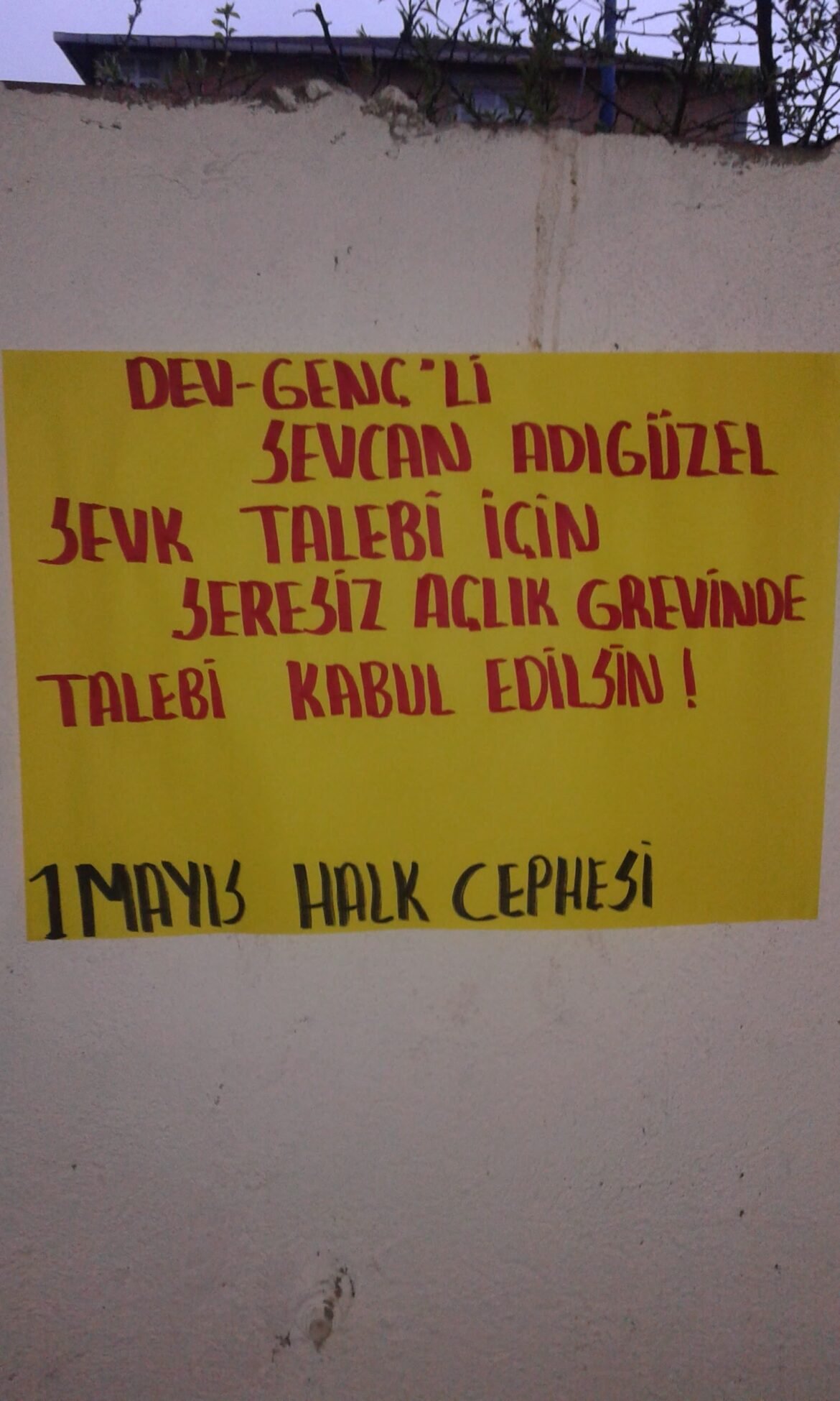 Bir Mayıs Halk Cephesi Sevcan Adıgüzel İçin Duvar Gazetesi Astı - Image 1