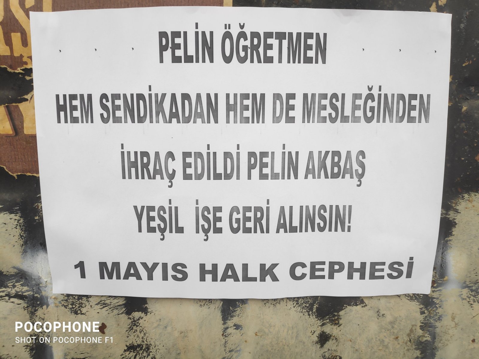 Bir Mayıs Halk Cephesi: Öğretmen Pelin Akbaş Yeşil İşine Geri Alınsın - Image 1