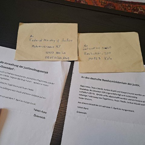 Avusturya’da Destek Açlık Grevindeki Tahsin Aysu Almanya Adalet Bakanlığı’na Dilekçe Yazdı - Image 1