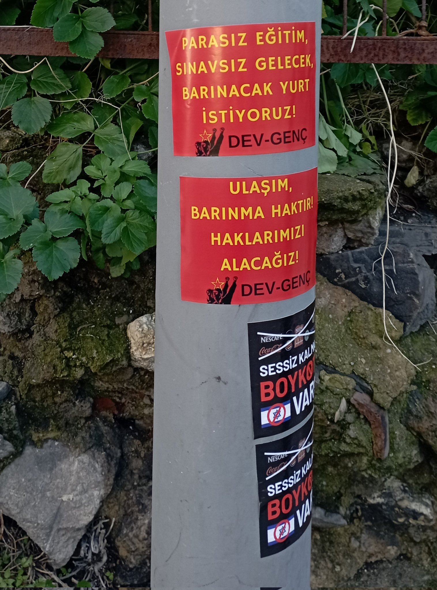 İstanbul Dev-Genç’ten Parasız Eğitim ve Ulaşım Hakkı İçin Çalışmalar - Image 1