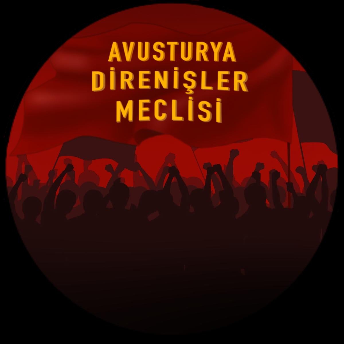 Avusturya Direnişler Meclisi: Berdan Efe Özder Derhal Serbest Bırakılmalıdır! - Image 1