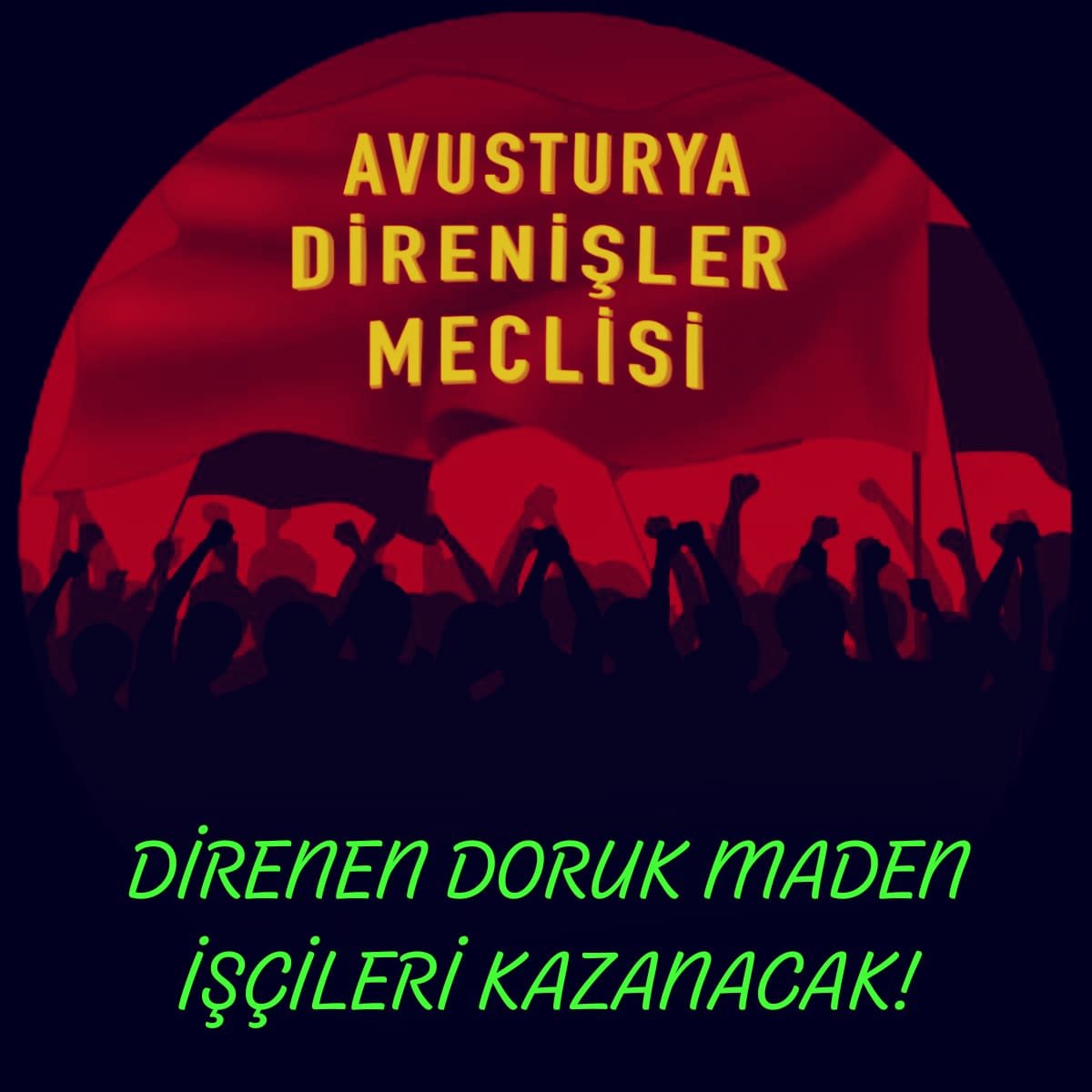 Avusturya Direnişler Meclisi: Doruk Maden İşçileri Yalnız Değildir - Image 1