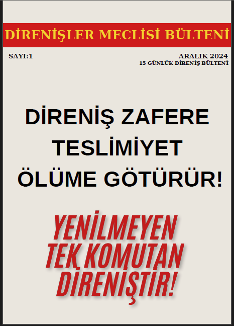 Direnişler Meclisi Bülteni 1. Sayısını Yayınlıyoruz - Image 1